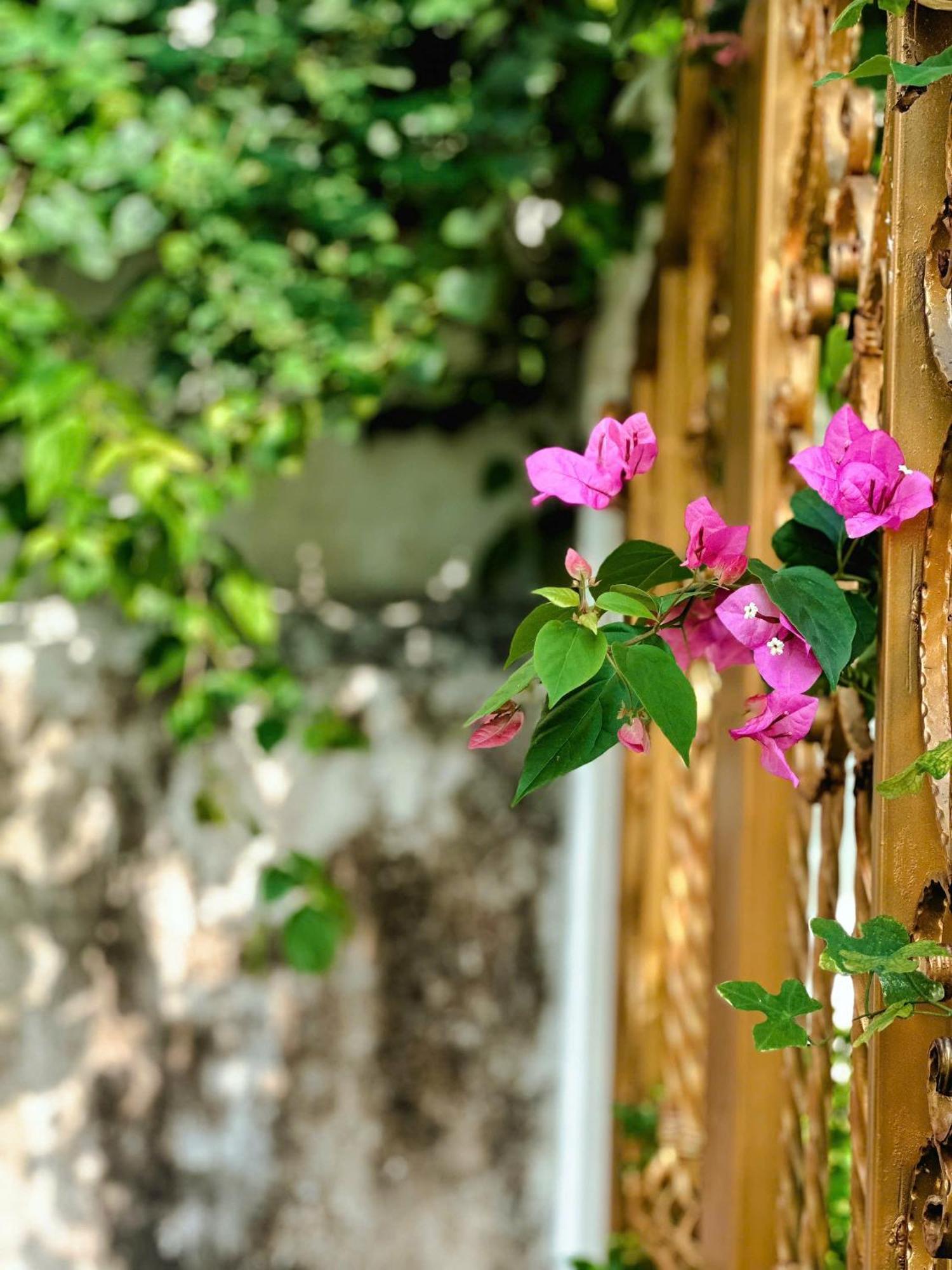 Blue Fish Villa Tan Thanh ภายนอก รูปภาพ